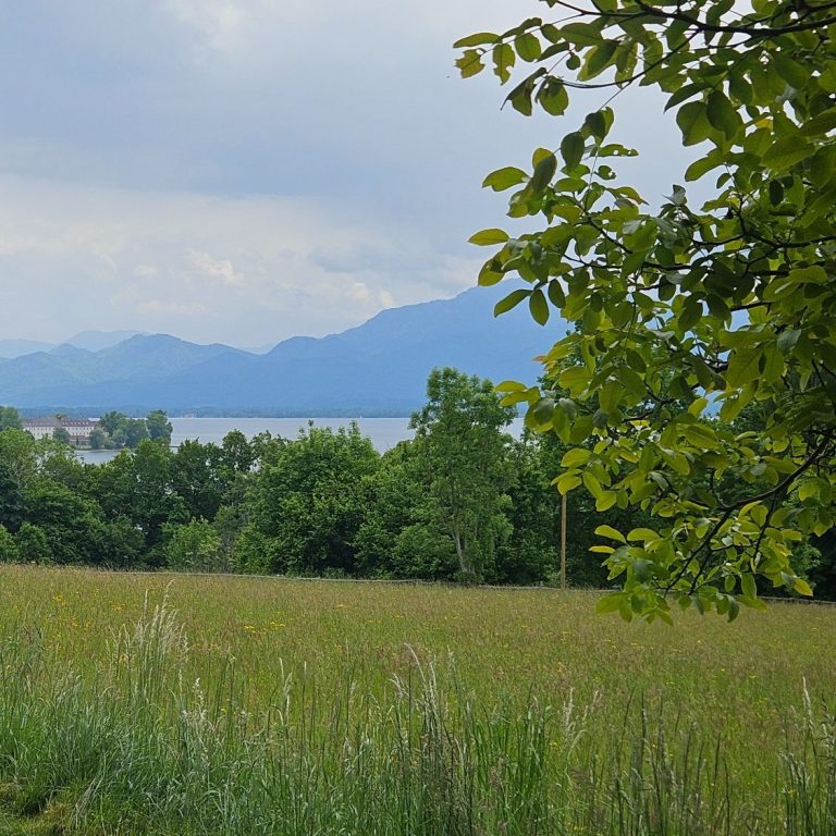 Physiotherapie am Chiemsee in Prien Kathrin Ortinger Naujeck Grünes Feld mit Bäumen im Vordergrund und Chiemsee mit Bergen im Hintergrund unter heiter bewölktem Himmel.